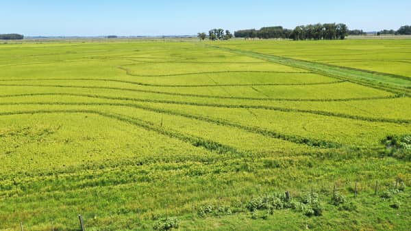 Excelente campo con ubicación inmejorable